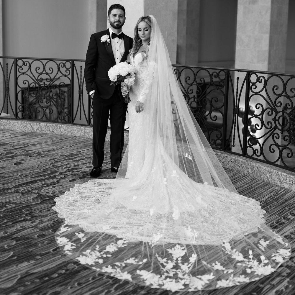 Cathedral Veil with lace detailing